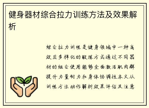 健身器材综合拉力训练方法及效果解析